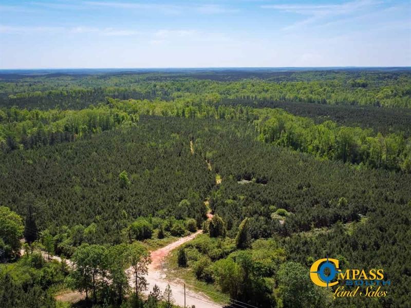 Whitewater Tract 7 : Glenn : Heard County : Georgia