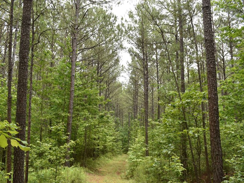 Whitewater Tracts 1 & 2 : Glenn : Heard County : Georgia