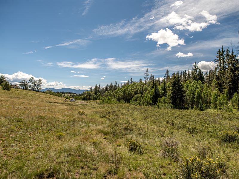 Power 365 Feet Away, RV Friendly : Como : Park County : Colorado