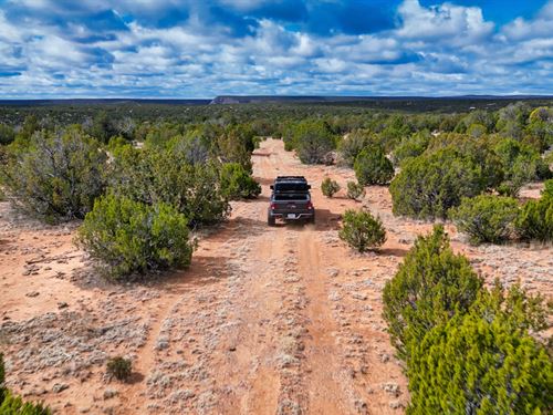 Ranch Borders National Forest Land : Ribera : San Miguel County : New Mexico