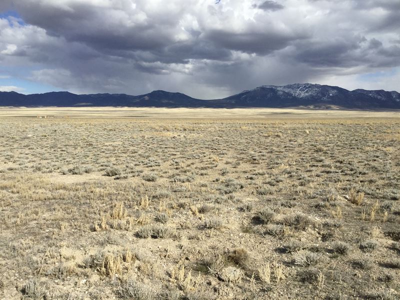 Affordable 10 Ac, $250 Per Month : Montello : Elko County : Nevada