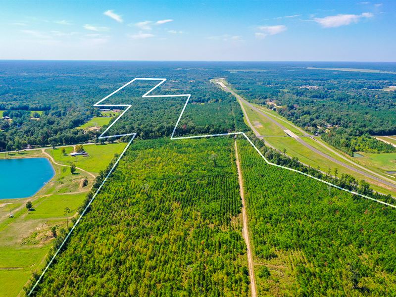 139 Acres, FM 1010 : Cleveland : Liberty County : Texas