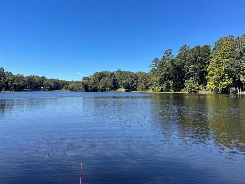 31.87 Ac M/L Turkey Creek, Natchez : Natchez : Adams County : Mississippi