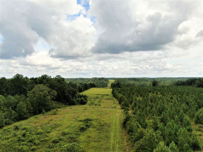 Black Jack Farm : Tallassee : Elmore County : Alabama