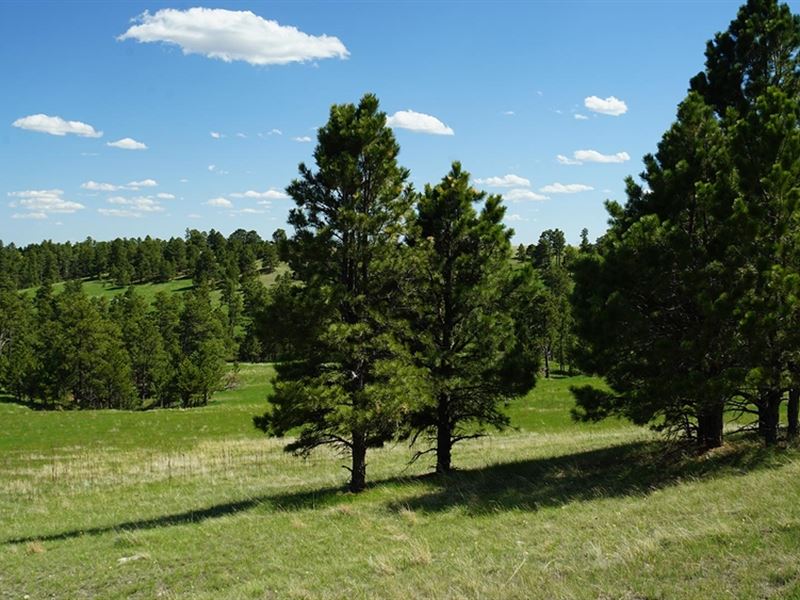 Belmont Ranch : Crawford : Dawes County : Nebraska