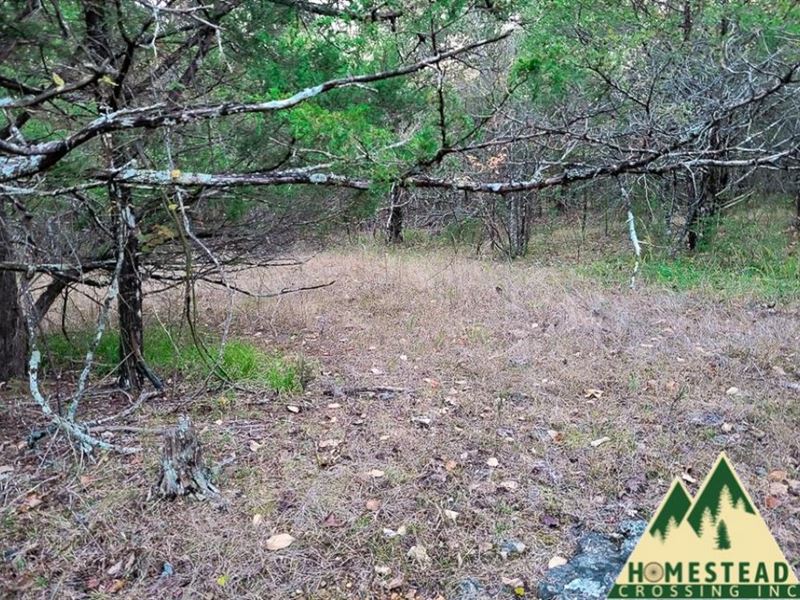 Property Near Bull Shoals Lake : Diamond City : Boone County : Arkansas