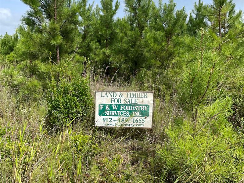 Waycross Woodlands, 2H : Glenmore : Ware County : Georgia