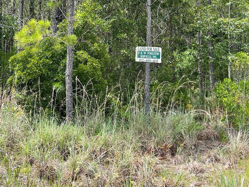 Waycross Woodlands, 7C : Glenmore : Ware County : Georgia