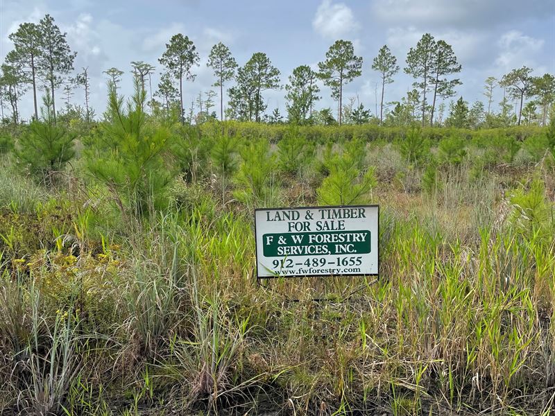 Waycross Woodlands, 14G : Glenmore : Ware County : Georgia