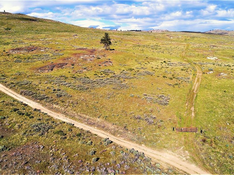 20 Acres Off-Grid Homesite : Tonasket : Okanogan County : Washington