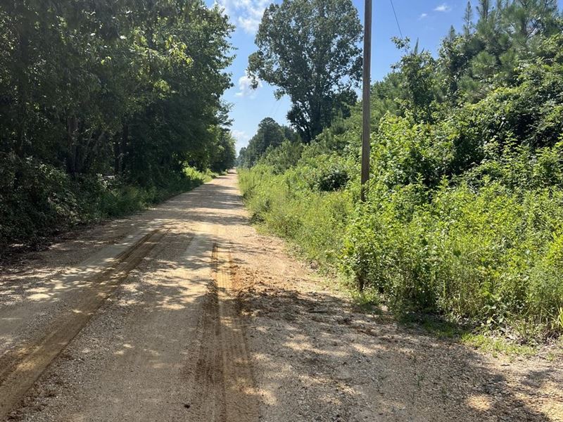 38 Acres at Cominto, Drew Count : Monticello : Drew County : Arkansas