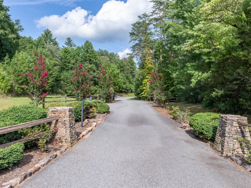 Nature's Courtyard Is Calling You : Mineral Bluff : Fannin County : Georgia