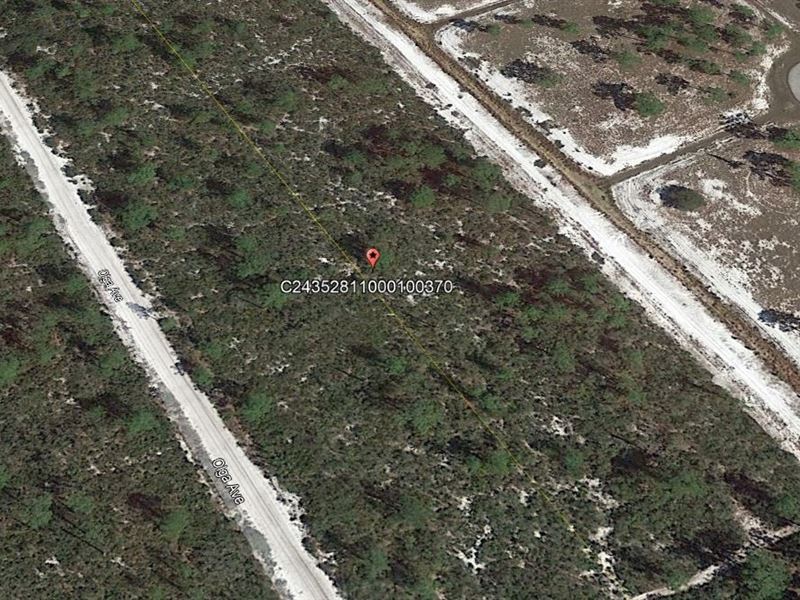 .82 Acre to Retire and Unwind : Sebring : Highlands County : Florida