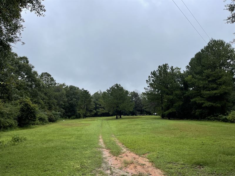 Weaver Place Road Lots, 4 Acres : Opp : Crenshaw County : Alabama