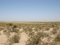 Beautiful TX 20 Acre Ranch Property : Sierra Blanca : Hudspeth County : Texas