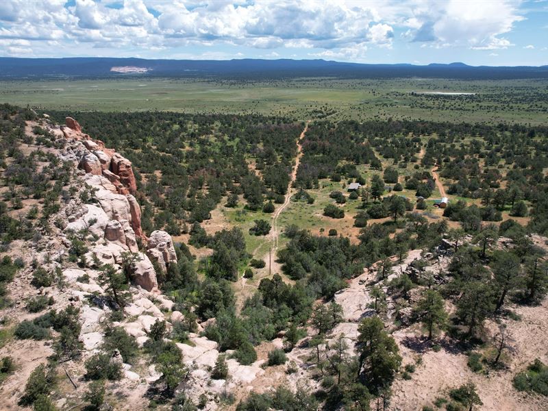 Amazing Views, Pine Meadows Ranch : Ramah : Cibola County : New Mexico