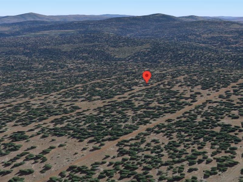 Relax on 0.92 Acre of Land : Alturas : Modoc County : California
