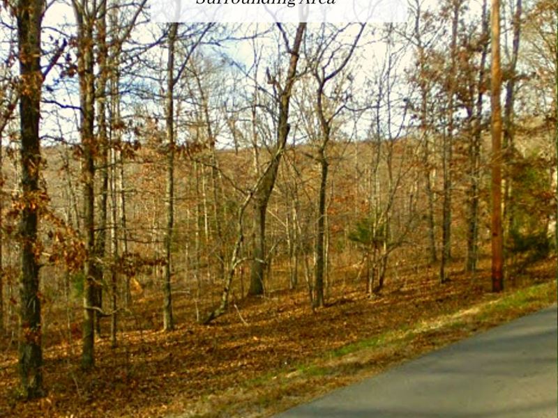 .6 Acre Only $1 Down, $199/Mo : Bumpus Mills : Stewart County : Tennessee