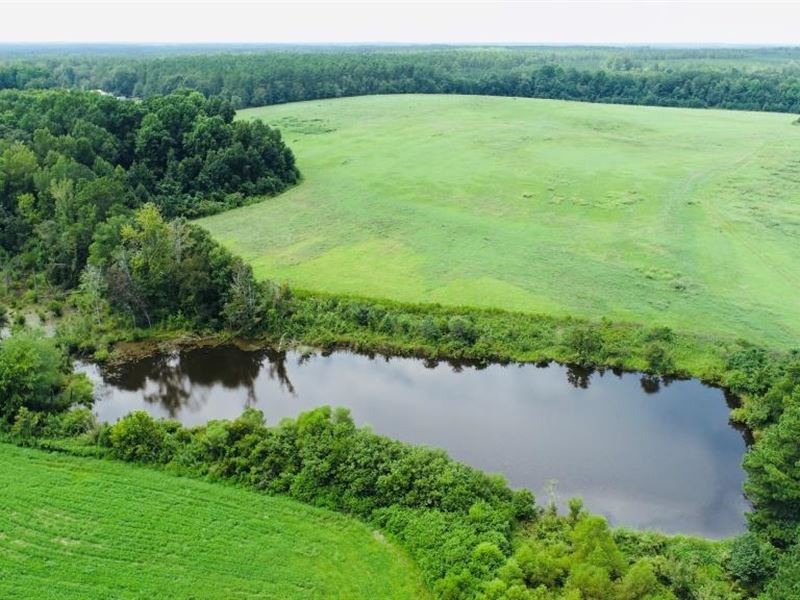 Little Brier Creek Farm : Warrenton : Warren County : Georgia