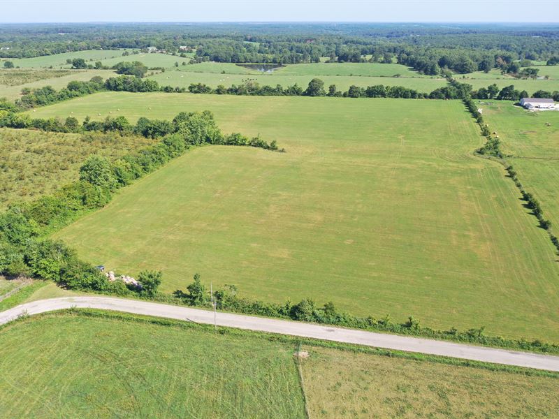 Great 30 Acre Tract Dallas County : Louisburg : Dallas County : Missouri