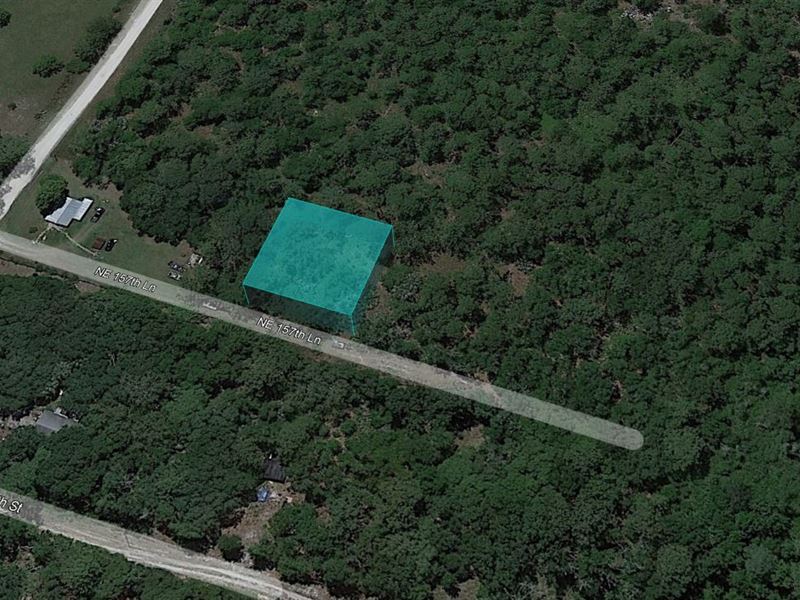 Stunning Days Ahead : Fort Mc Coy : Marion County : Florida