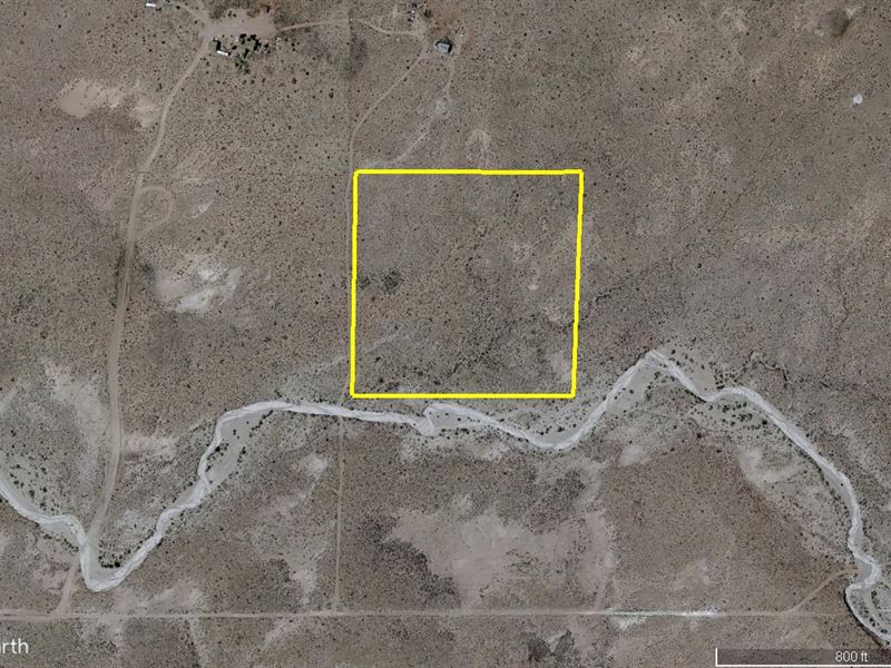 Horse Country : Joseph City : Navajo County : Arizona