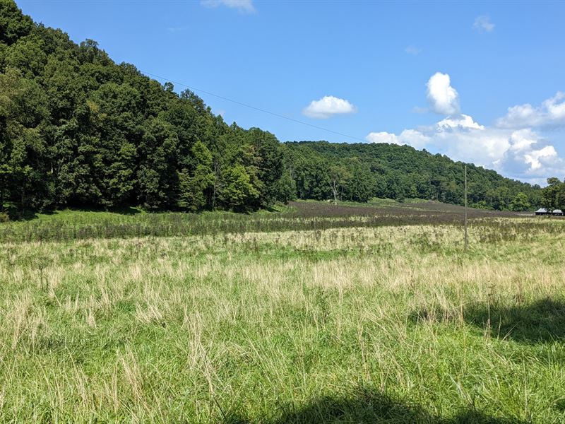 Jackson County, Ohio Land for Sale : Jackson : Jackson County : Ohio