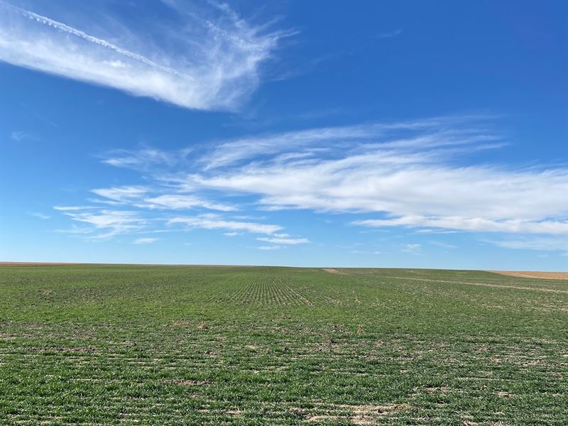 Cheyenne County, CO Farm : Cheyenne Wells : Cheyenne County : Colorado