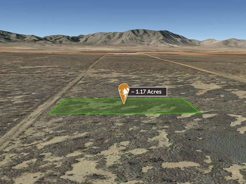Motivated Seller, Must Sell : Cochise : Cochise County : Arizona
