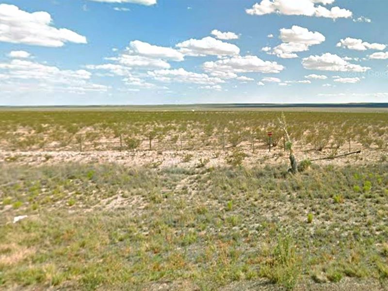 20 Acres in Hudspeth County, TX : Cornudas : Hudspeth County : Texas