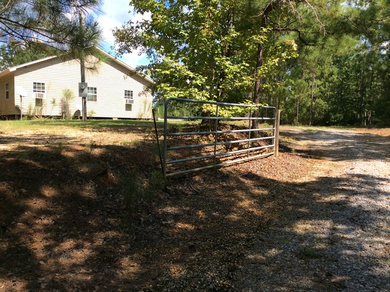 Halso Mill Rd, House with 50 Acres : Greenville : Butler County : Alabama