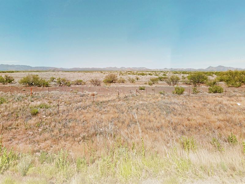 Prime Location, 2 Acres in AZ : Douglas : Cochise County : Arizona