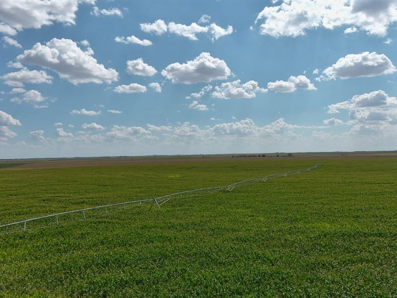 SE Sedgwick County Irr Farm 2 : Julesburg : Sedgwick County : Colorado