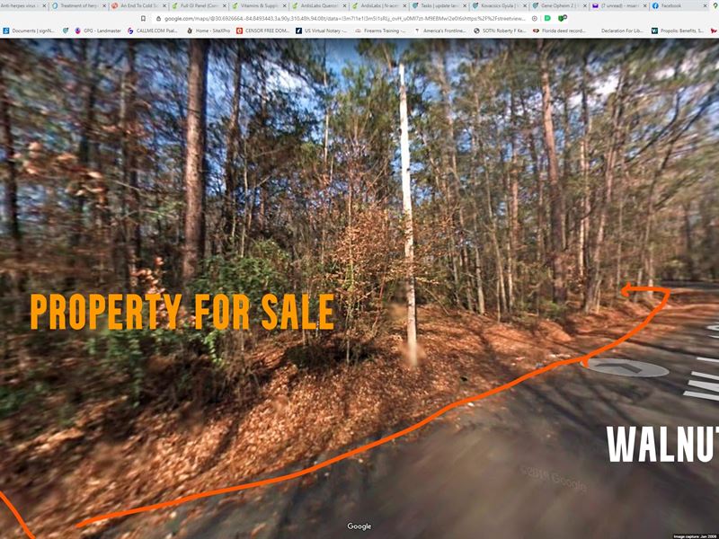 Land for Sale in Chattahoochee : Chattahoochee : Gadsden County : Florida