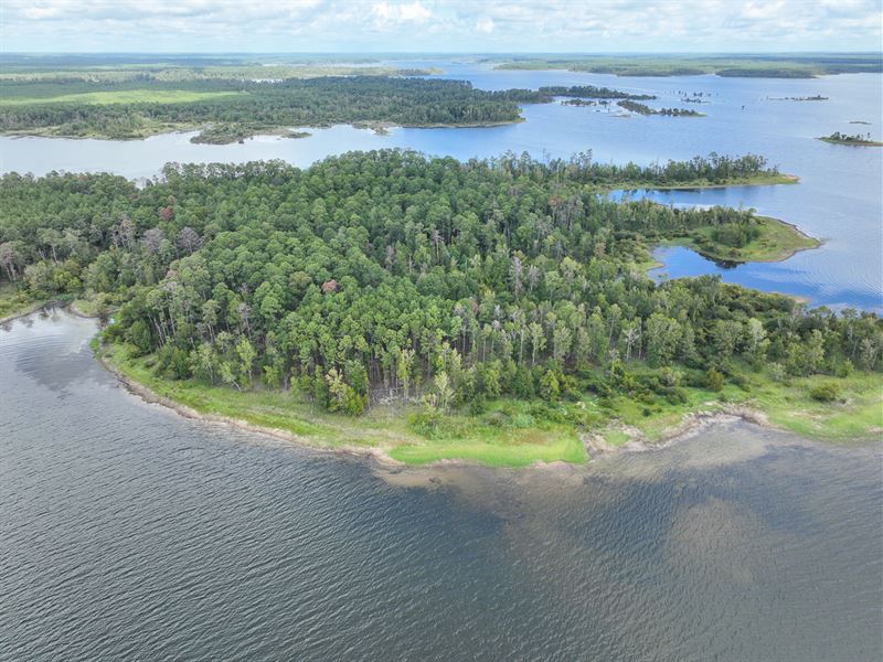 39 Acres, T-15 Lost Wood Point : Broaddus : San Augustine County : Texas