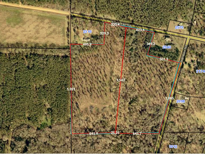 Beautiful Mini Farm Tract : Unadilla : Dooly County : Georgia