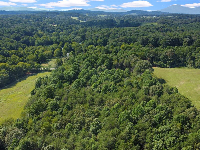 44 Ac, Field, Forest, & Creek : Bedford : Bedford County : Virginia