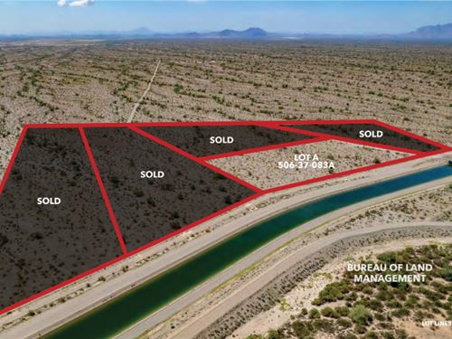 Only 4 Lots, Mtns, Saguaros : Tonopah : Maricopa County : Arizona