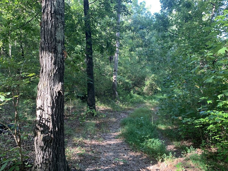 22 Acres Investment Property : Gadsden : Etowah County : Alabama