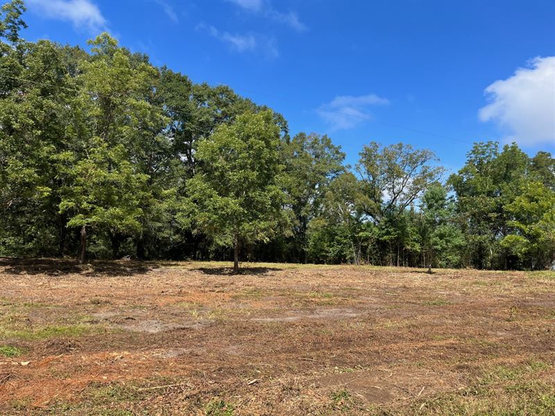 16 Ac with Camp House Butler Co : Greenville : Butler County : Alabama
