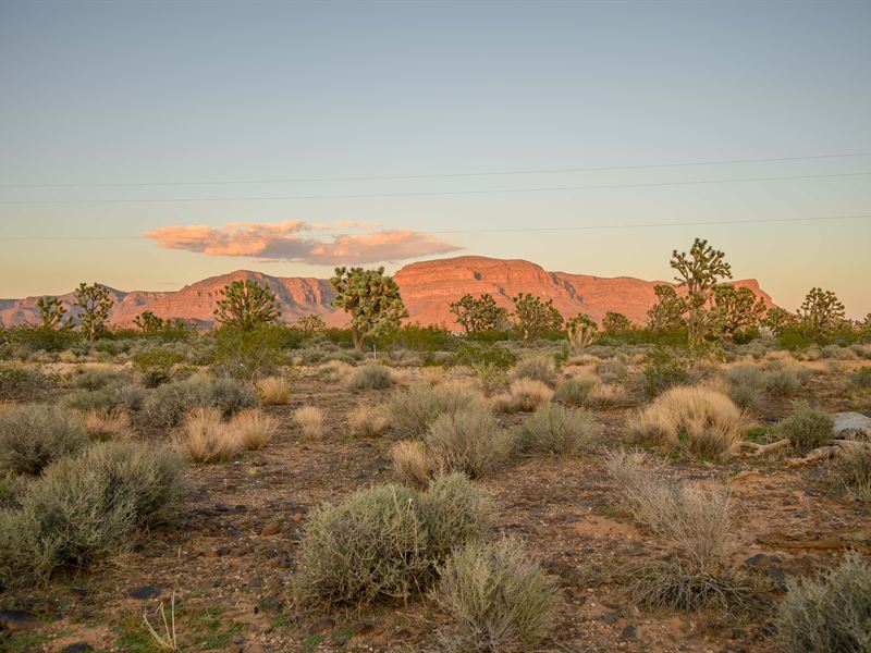 With Power and Gravel Road Access : Meadview : Mohave County : Arizona
