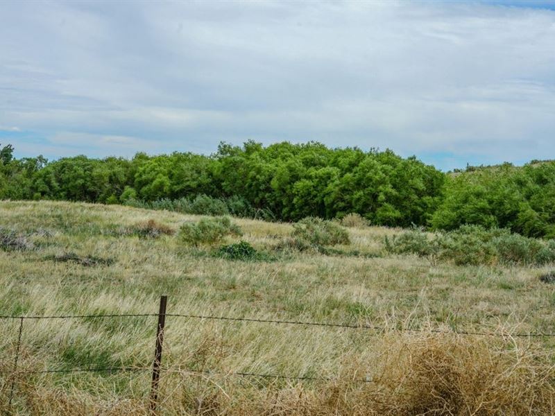 4662 Acre Ranch, Walsenburg, Co 810 : Walsenburg : Huerfano County : Colorado