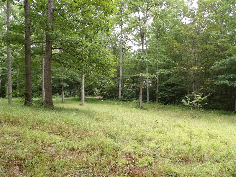 Creeks, Multiple Spots to Build : Dunlap : Sequatchie County : Tennessee