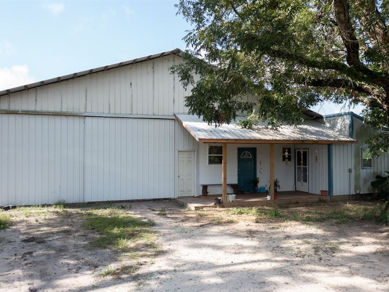 Operating Cattle Ranch : Mayo : Lafayette County : Florida