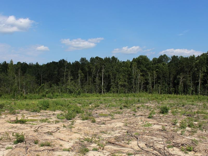 Rural Homesite Near Auburn : Little Texas : Macon County : Alabama