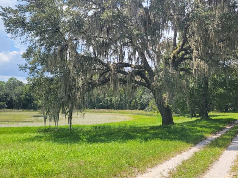 Greenway Farms, Lot 1a : Fort McCoy : Marion County : Florida