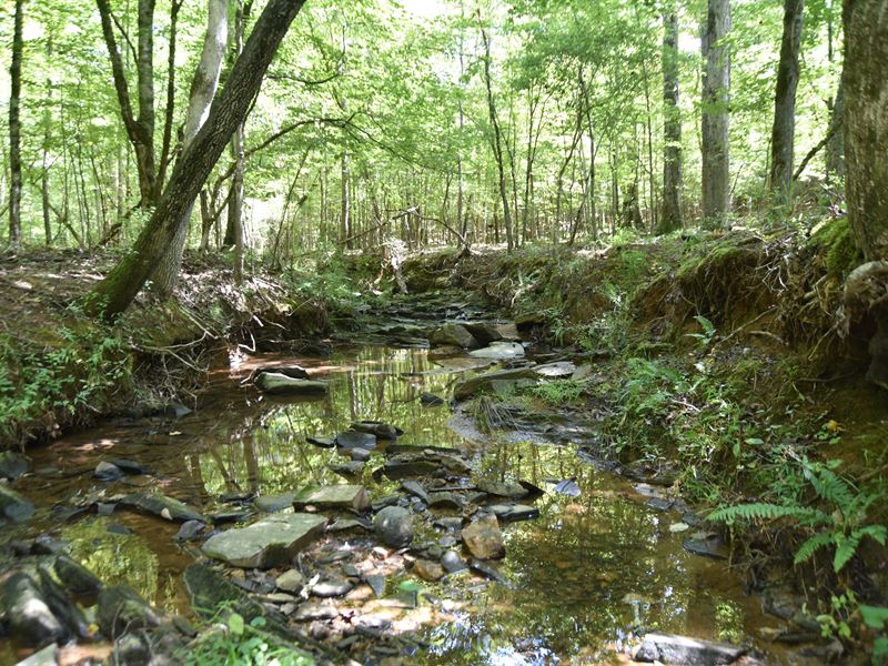 Major Opportunity and Potential : Fortson : Harris County : Georgia