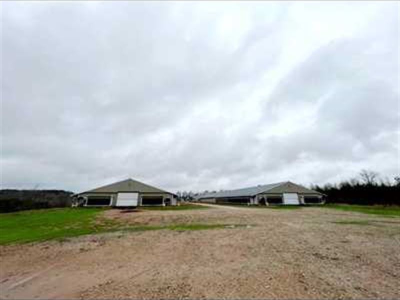 2 Mega Broiler House in AL : Lineville : Randolph County : Alabama