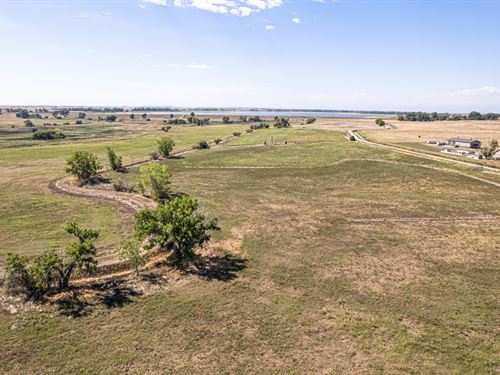 Lark Bunting Farm at Barr Lake : Brighton : Adams County : Colorado