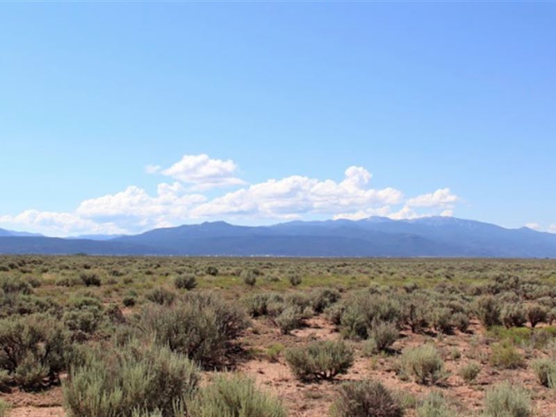 Have Your Own Hunting Escape Land for Sale by Owner in San Luis